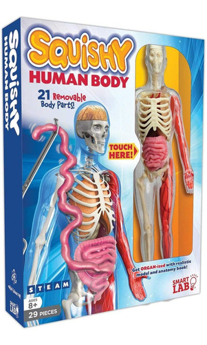 Juguetes Multicolores Para El Cuerpo Humano Smartlab Squishy