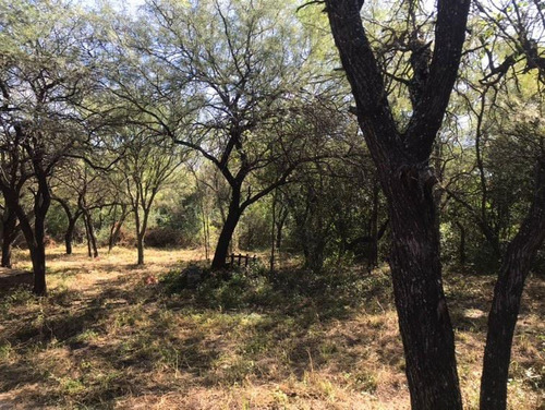 Excelentes Lotes De 1 Ha Y 1 1/2ha Escriturados En Las Tapias, Traslasierra,cordoba