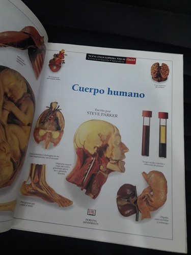Nueva Enciclopedia Visual Clarin - Cuerpo Humano (Usado)