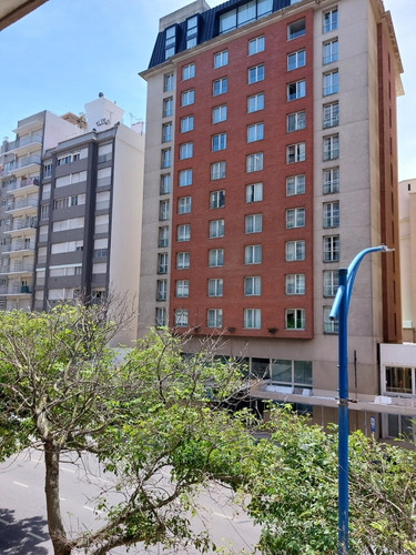 Imagen 19 de 19 de Alquilo Departamento Ambiente Y Medio Temporada Mar Del Plata Guemes Aldrey Febrero Disponible