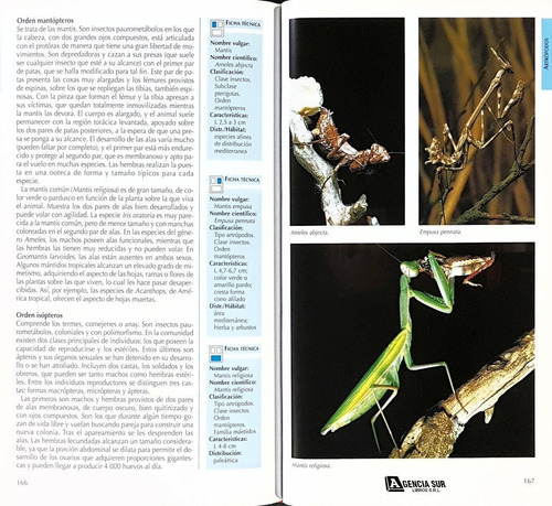 Invertebrados, Guía Visual De La Naturaleza