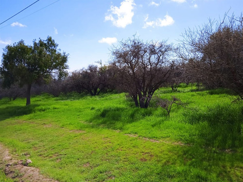 Sitio Super En Venta En Limache
