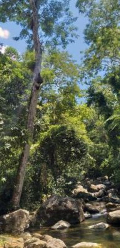 Imagem 22 de 23 de Chácara Em Itariri, No Bairro Igrejinha, Com 2.450 M² De Área Total E Com Cachoeira Próximo A Chácara E Vaga Para 10 Automóveis Ref: 9573/ac