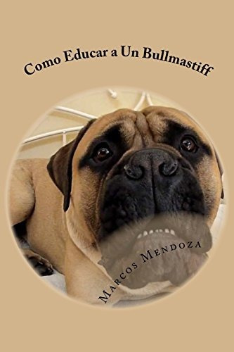 Como Educar A Un Bullmastiff