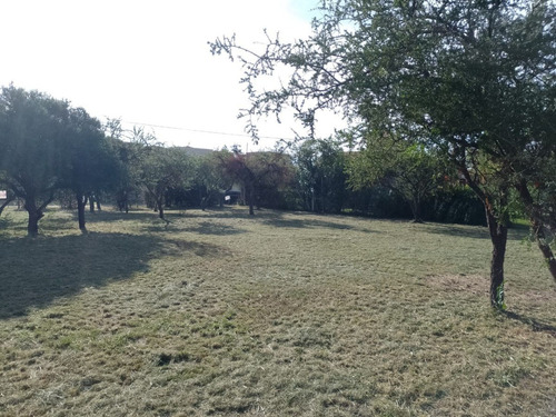 Venta De Lote Ideal, Bº Nuevo Merlo, Con Gas Natural.