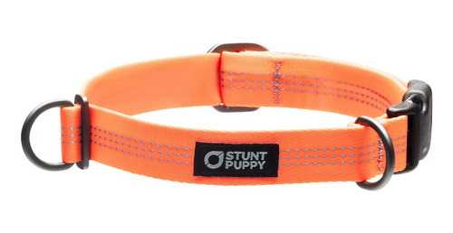 Collar Perro Diario, Naranja - Stunt Puppy