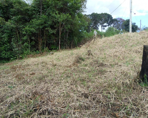Imagem 6 de 7 de Terreno - 03710 - 33228906
