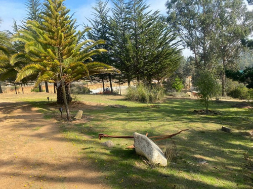 Casa Amoblada En Algarrobo, Amplia Y Bien Ubicada