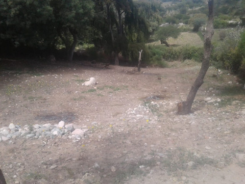 Venta Terreno En Amaicha 3220m2