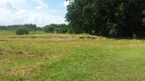 Terreno Totalmente Plano C/ 135.912,49 M² Em Area Industrial, Oportunidade!!! - Te0017