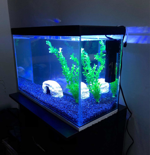 Acuario Pecera Completo