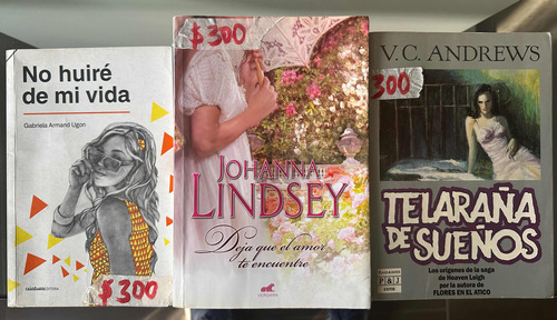 Libros Gabriela Armand Ugon, V.c. Andrews, Johanna Lindsey