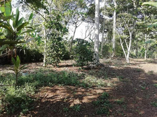 Terreno En Venta San Camilo