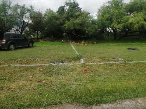 Imagen 7 de 11 de Terreno - Palo Blanco