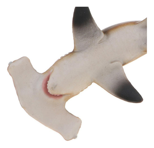 Modelo Animal Del Océano