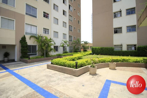 Imagem 11 de 16 de Apartamento - Ref: 239585