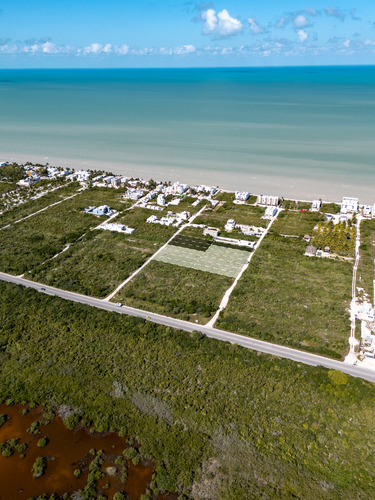 Terrenos A 200 Metros Del Mar En San Benito Yucatán