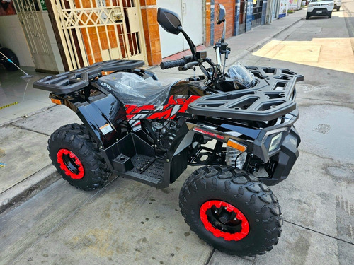 Imagen 4 de 25 de Cuatrimoto Dynamic 150cc Automatica Pantalla Digt 0 Klm 2023