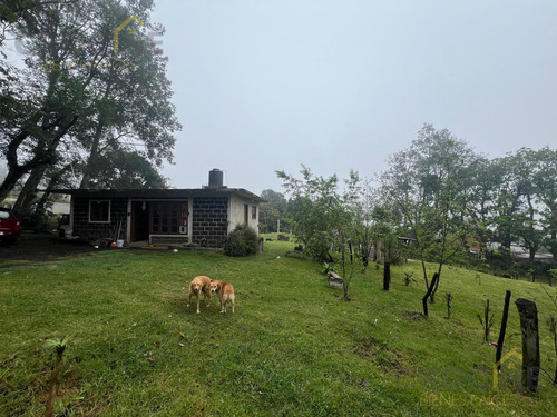 Terreno En Venta Con Casa En El Centro De Mpio. De Rafael Lucio, Ver.