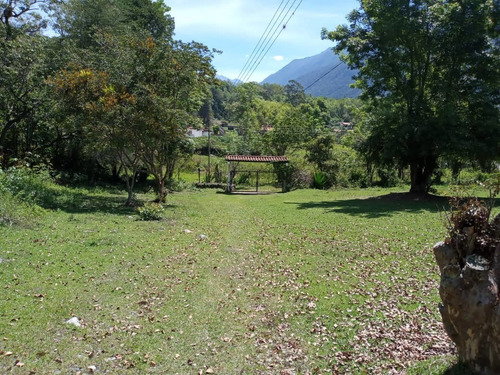 Imagen 10 de 12 de Casa En Venta