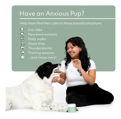 Calming Chews Reggie Anytime For Dogs Reduce Anxiety 60u