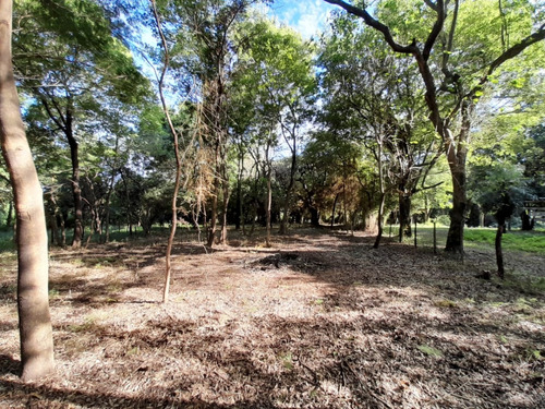 Vendo Pequeño Bosque Sobre El Río Corriente En La Ciudad De Esquina!!!!