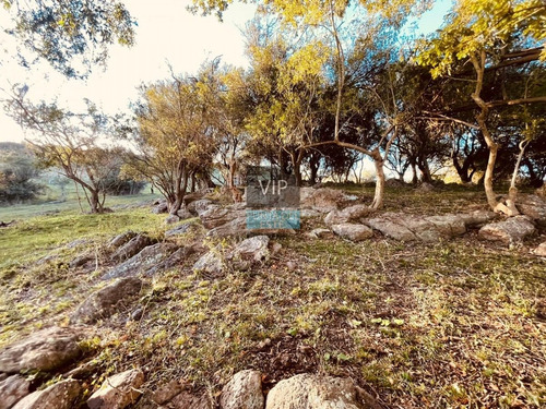 Vendo Hermosa Chacra Con Casco Viejo Sobre Ruta- Ref: 522