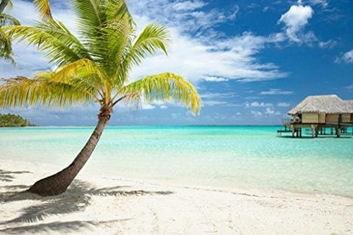 Pósteres Palm Tree And Huts On Tropical Beach Photo Photogra