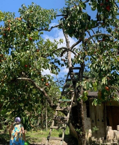 Imagem 14 de 14 de Chacara A Venda Em Aruja
