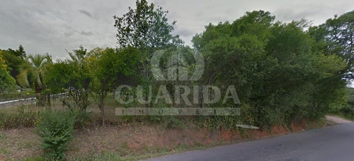 Imagem 3 de 3 de Terreno - Belem Velho - Ref: 33100 - V-33100