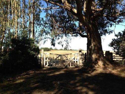 Sitio En Venta En Pichilemu