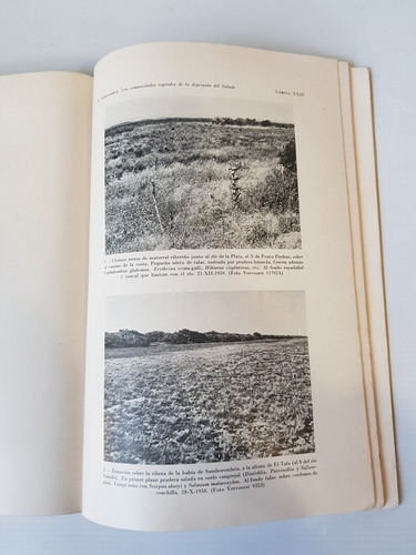 Imagen 4 de 10 de Antiguo Libro Vegetación Arg + Mapa Vervoorst 1967 Mag 56285