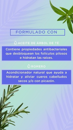 Imagen 4 de 6 de Hask Shampoo Tea Tree & Rosemary 355 Ml