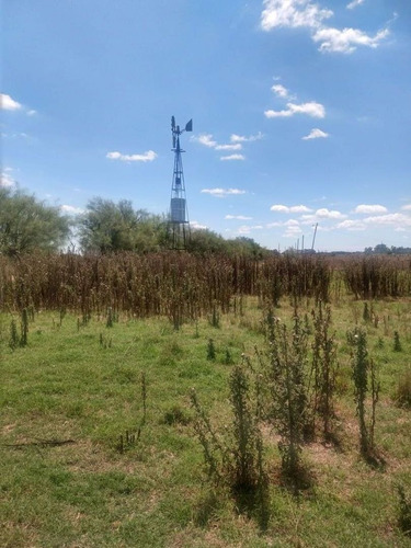 Imagen 2 de 10 de Campo En Venta En San Vicente