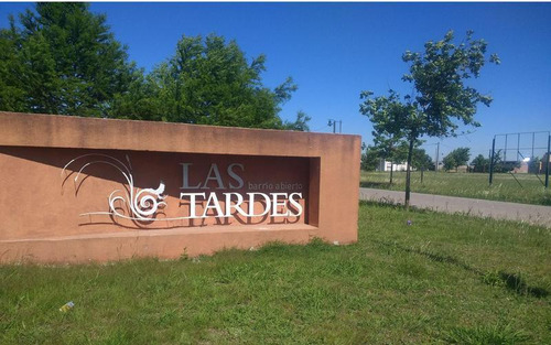 Las Tardes