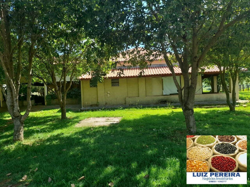 Fazenda Á Venda Em Fátima - To - De 420 Alqueirões (dupla Aptidão) - 1608