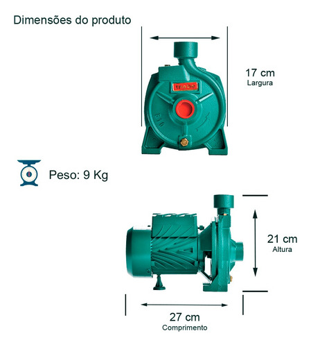 Bomba B-10 Thebe 1/2cv Rotor Em Bronze Agua Quente 127/220v