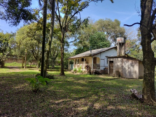 Chácara 6.000 M² - Vila Imperial - Gravataí - Rs - 2400 - 68236631
