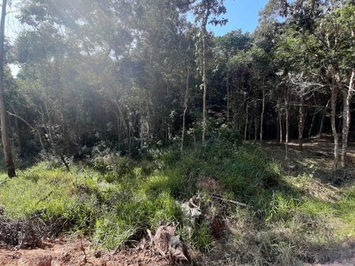 Imagem 14 de 14 de Terrenos Com Uma Linda Vista