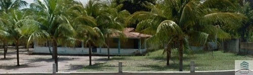 Imagem 4 de 14 de Granja A Venda Lagoa Do Bonfim