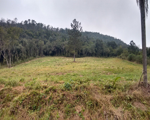 Chácara 20.000 M² - Lomba Grande - Novo Hamburgo - Rs - 1194 - 32419715
