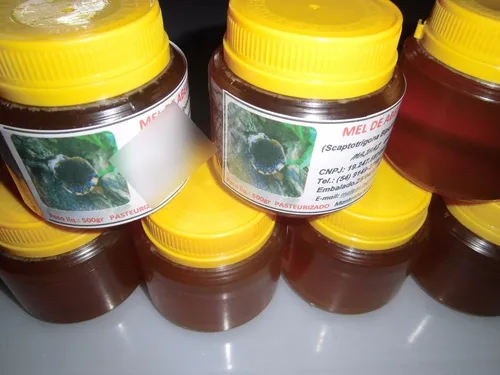comprar Mel Silvestre Abelha Tubuna\u002Ftubiba 1kg+ 1kg Mel Africana
