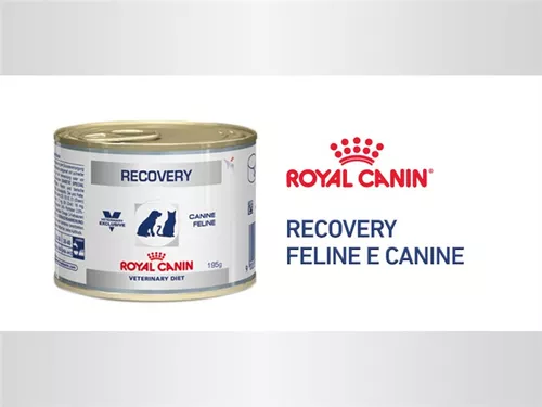 Recovery Royal Canin Lata Cães E Gatos 195 G - 1 Unidade