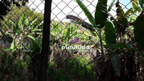 Imagem 11 de 15 de Chácara À Venda, 4900 M² Por R$ 1.400.000,00 - Rochedo - São José Dos Campos/sp - Ch0138