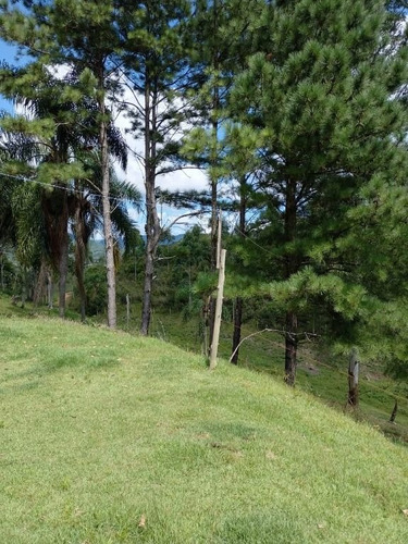 Imagem 12 de 27 de Chácara Em Alto Biguaçu, Biguaçu/sc De 35552m² 2 Quartos À Venda Por R$ 850.000,00 - Ch1938045-s