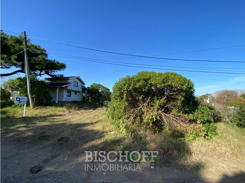 Venta De Lote En Ostende Calle Moreno