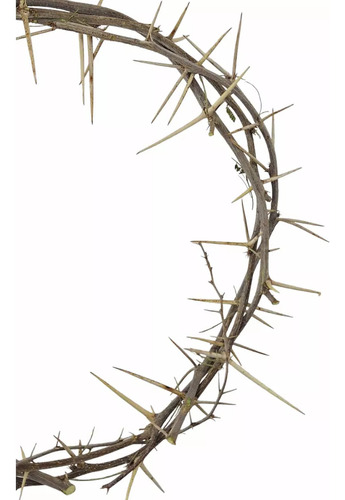 Corona De Espinas Reales Para Cristo - Representación