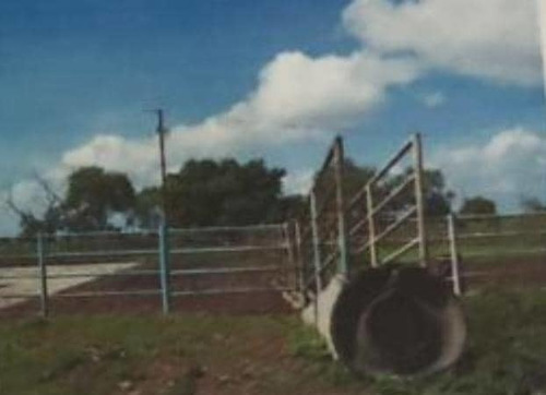 Imagen 9 de 17 de Se Vende Finca En Caicarita Estado Monagas Ve02-1095mced-mtru