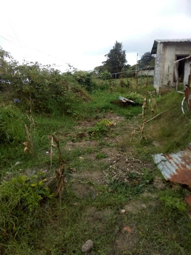 Imagen 12 de 20 de Finca En Casa Via El Padre De 45 Hectáreas
