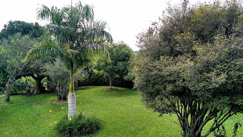 Finca